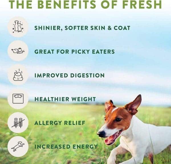 Fresh pet Dog Joy Treats Turkey Bacon(85g) - Image 4